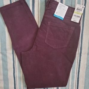 Corduroy Pants BURGUNDY